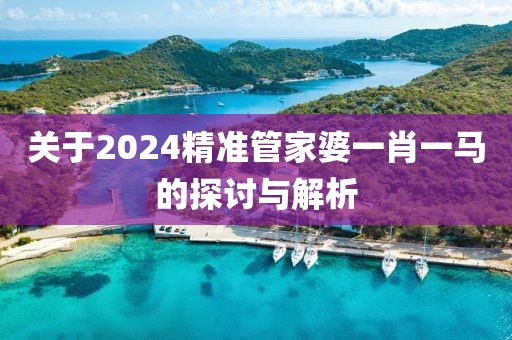 关于2024精准管家婆一肖一马的探讨与解析