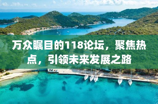万众瞩目的118论坛，聚焦热点，引领未来发展之路