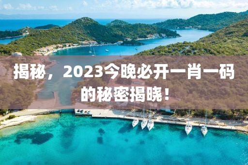 揭秘，2023今晚必开一肖一码的秘密揭晓！