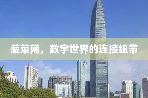 菠菜网，数字世界的连接纽带