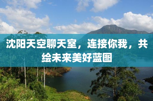 沈阳天空聊天室，连接你我，共绘未来美好蓝图