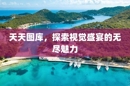 天天图库，探索视觉盛宴的无尽魅力
