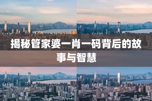揭秘管家婆一肖一码背后的故事与智慧