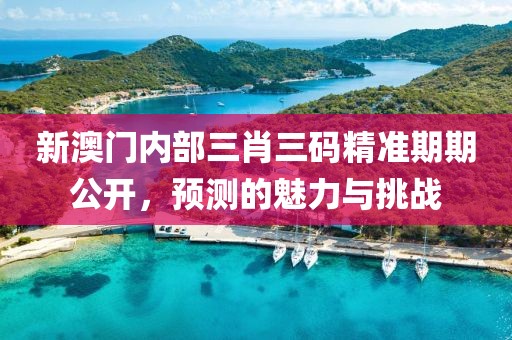 新澳门内部三肖三码精准期期公开，预测的魅力与挑战