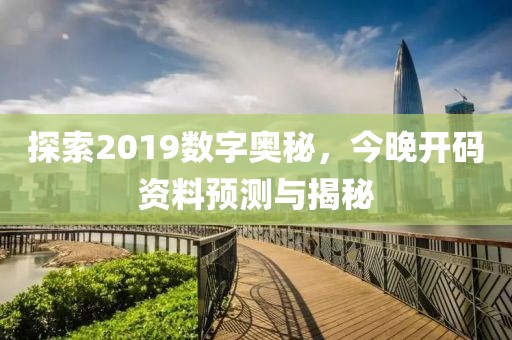 探索2019数字奥秘，今晚开码资料预测与揭秘