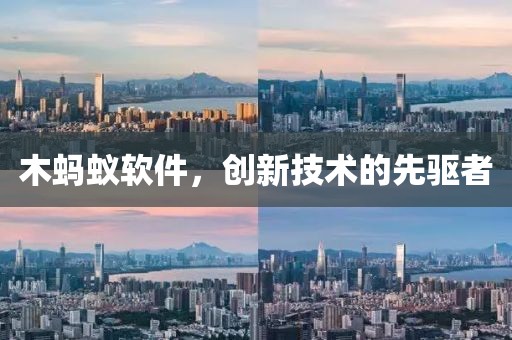 木蚂蚁软件，创新技术的先驱者