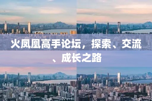 火凤凰高手论坛，探索、交流、成长之路