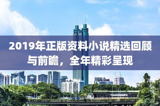 2019年正版资料小说精选回顾与前瞻，全年精彩呈现