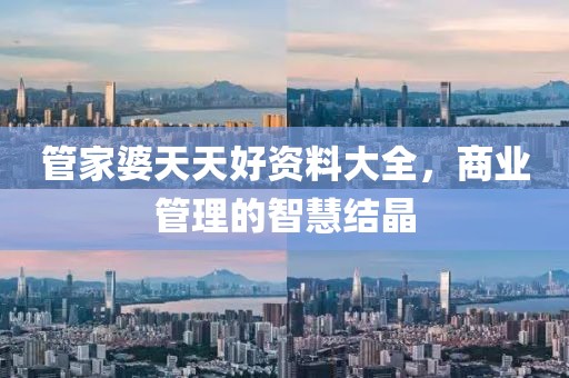 管家婆天天好资料大全，商业管理的智慧结晶