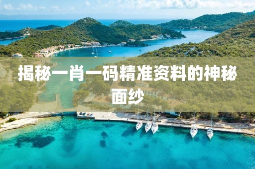 揭秘一肖一码精准资料的神秘面纱