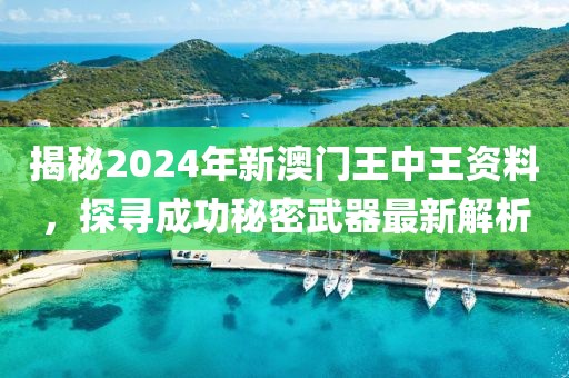 揭秘2024年新澳门王中王资料，探寻成功秘密武器最新解析