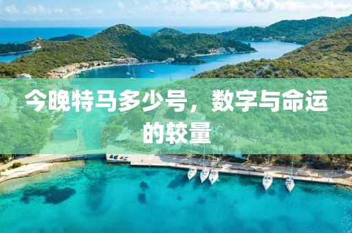 今晚特马多少号，数字与命运的较量