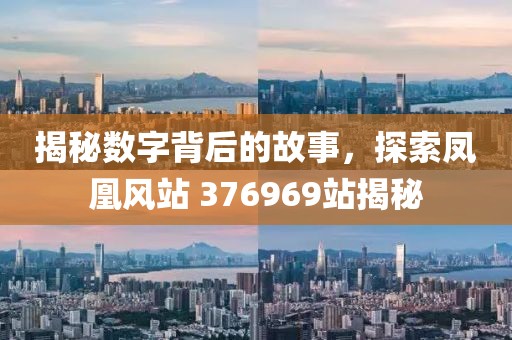 揭秘数字背后的故事，探索凤凰风站 376969站揭秘