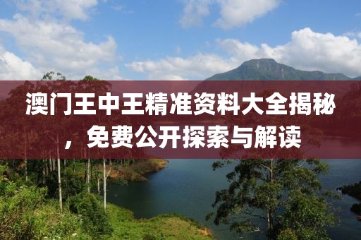澳门王中王精准资料大全揭秘，免费公开探索与解读