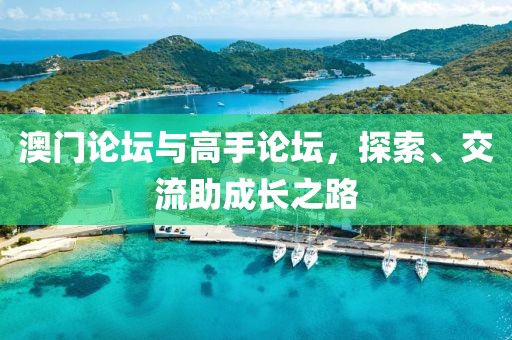 澳门论坛与高手论坛，探索、交流助成长之路