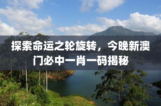 探索命运之轮旋转，今晚新澳门必中一肖一码揭秘