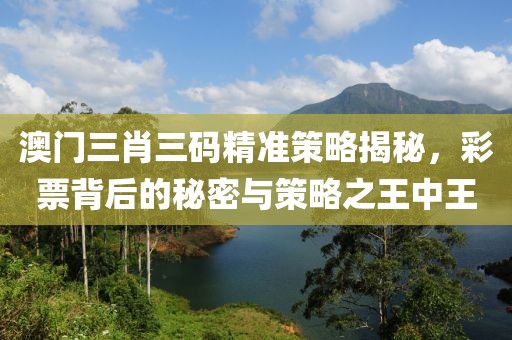 澳门三肖三码精准策略揭秘，彩票背后的秘密与策略之王中王