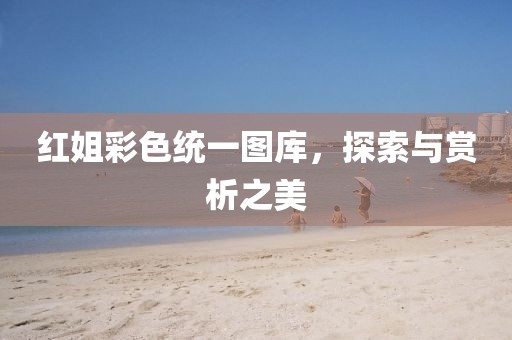 红姐彩色统一图库，探索与赏析之美