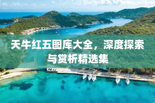 天牛红五图库大全，深度探索与赏析精选集