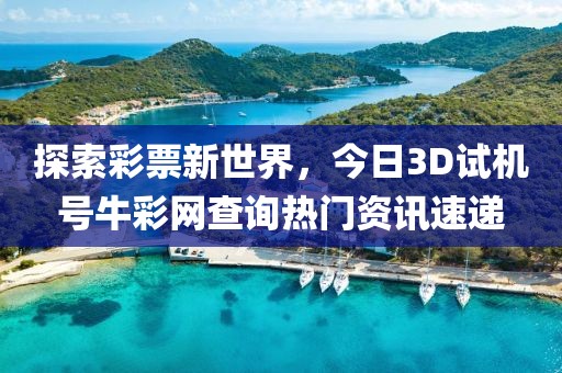 探索彩票新世界，今日3D试机号牛彩网查询热门资讯速递