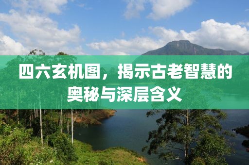 四六玄机图，揭示古老智慧的奥秘与深层含义