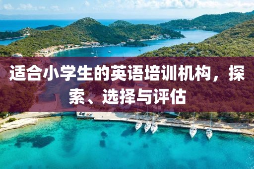 适合小学生的英语培训机构，探索、选择与评估