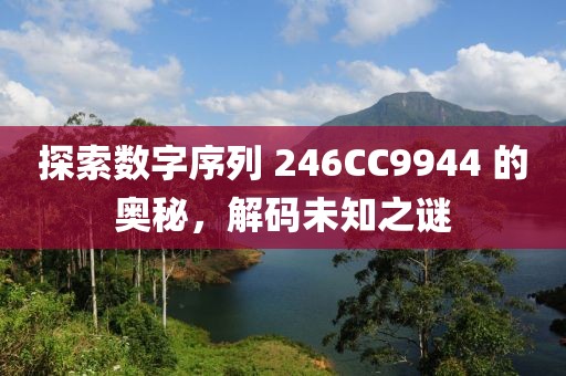 探索数字序列 246CC9944 的奥秘，解码未知之谜