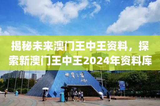 2024年新澳门王中王资料