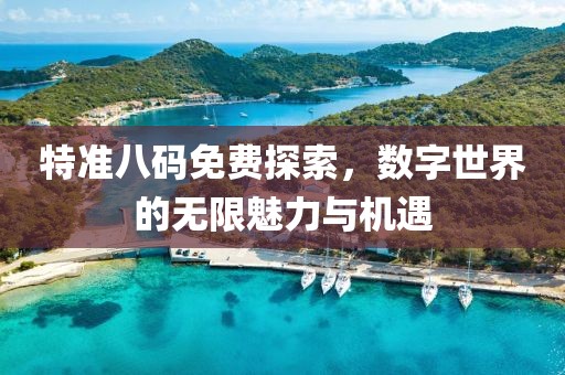 特准八码免费探索，数字世界的无限魅力与机遇