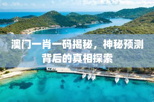 校园环境 第23页