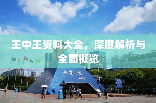王中王资料大全，深度解析与全面概览