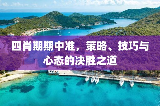 四肖期期中准，策略、技巧与心态的决胜之道