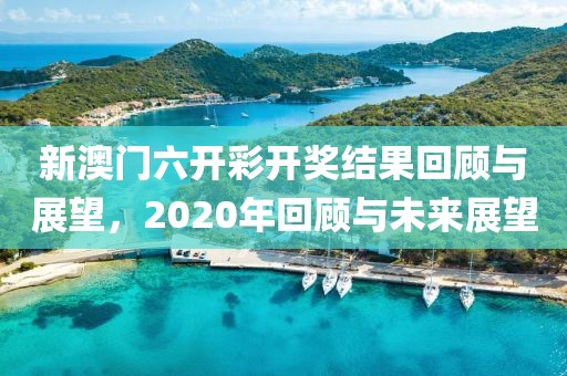 新澳门六开彩开奖结果回顾与展望，2020年回顾与未来展望