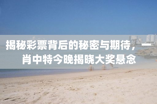 揭秘彩票背后的秘密与期待，一肖中特今晚揭晓大奖悬念