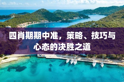 四肖期期中准，策略、技巧与心态的决胜之道
