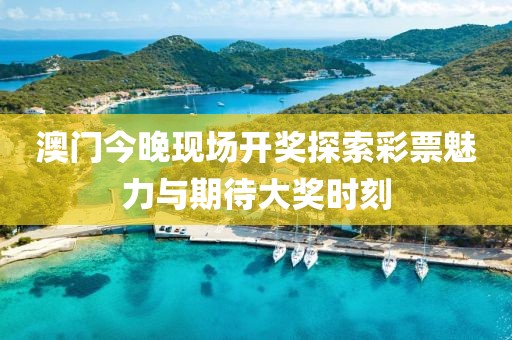 澳门今晚现场开奖探索彩票魅力与期待大奖时刻