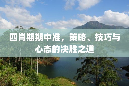 四肖期期中准，策略、技巧与心态的决胜之道