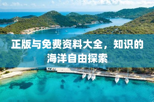 正版与免费资料大全，知识的海洋自由探索