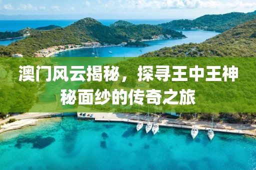 澳门风云揭秘，探寻王中王神秘面纱的传奇之旅