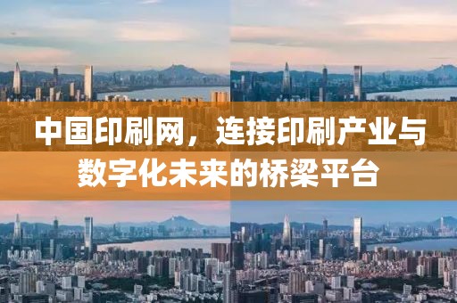 中国印刷网，连接印刷产业与数字化未来的桥梁平台