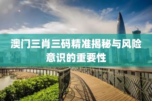 澳门三肖三码精准揭秘与风险意识的重要性