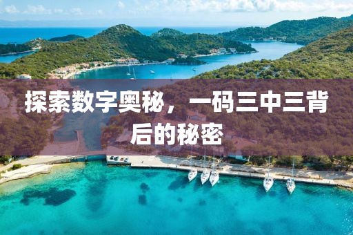 探索数字奥秘，一码三中三背后的秘密