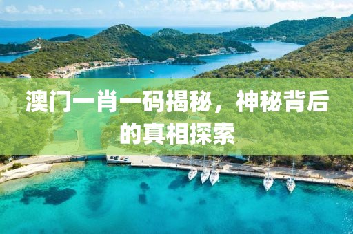 澳门一肖一码揭秘，神秘背后的真相探索
