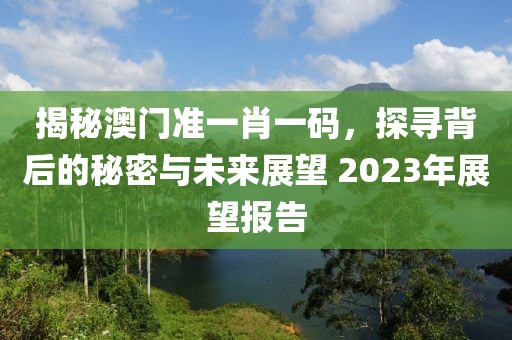 揭秘澳门准一肖一码，探寻背后的秘密与未来展望 2023年展望报告