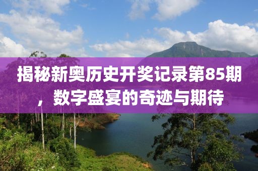 揭秘新奥历史开奖记录第85期，数字盛宴的奇迹与期待
