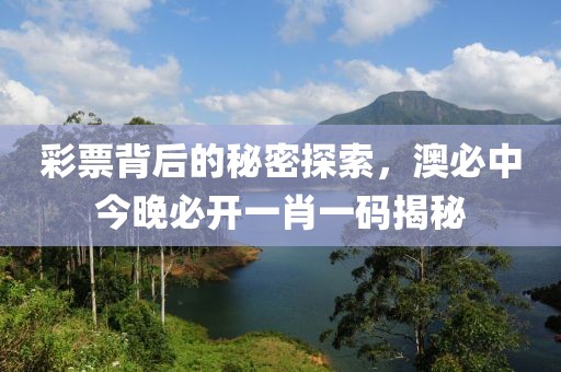 彩票背后的秘密探索，澳必中今晚必开一肖一码揭秘