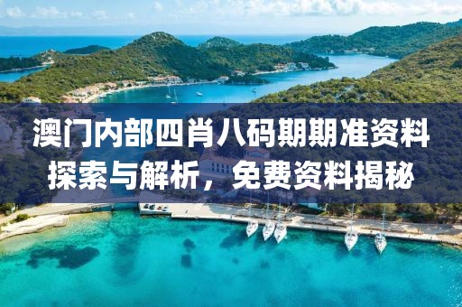 澳门内部四肖八码期期准资料探索与解析，免费资料揭秘