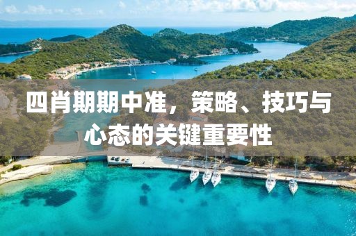 四肖期期中准，策略、技巧与心态的关键重要性