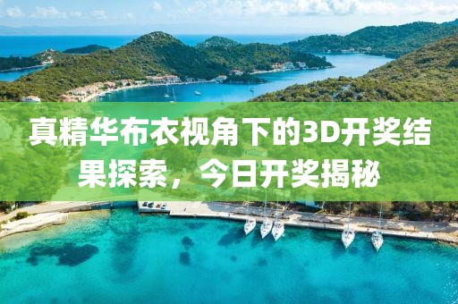 真精华布衣视角下的3D开奖结果探索，今日开奖揭秘