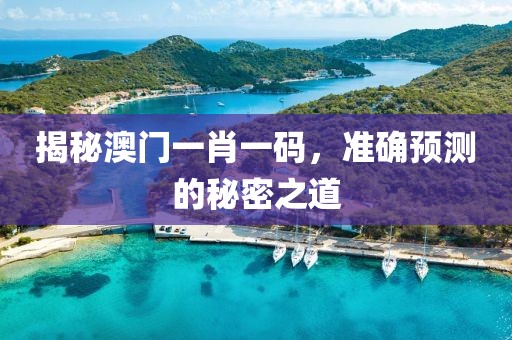 揭秘澳门一肖一码，准确预测的秘密之道